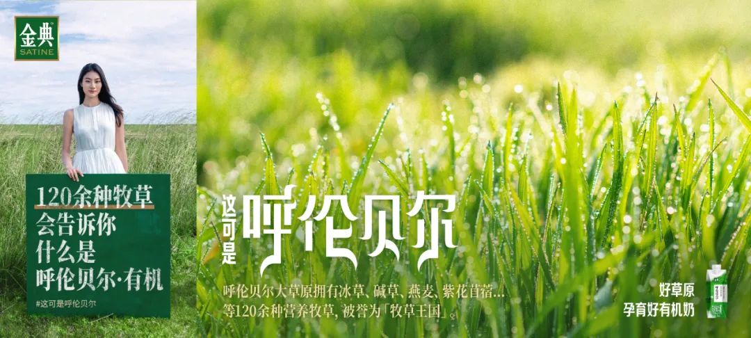 全球乳业发展风向标2023世界乳业峰会举行,伊利液态奶携多款创新产品亮相!