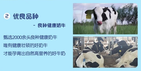 全球乳业发展风向标2023世界乳业峰会举行,伊利液态奶携多款创新产品亮相!