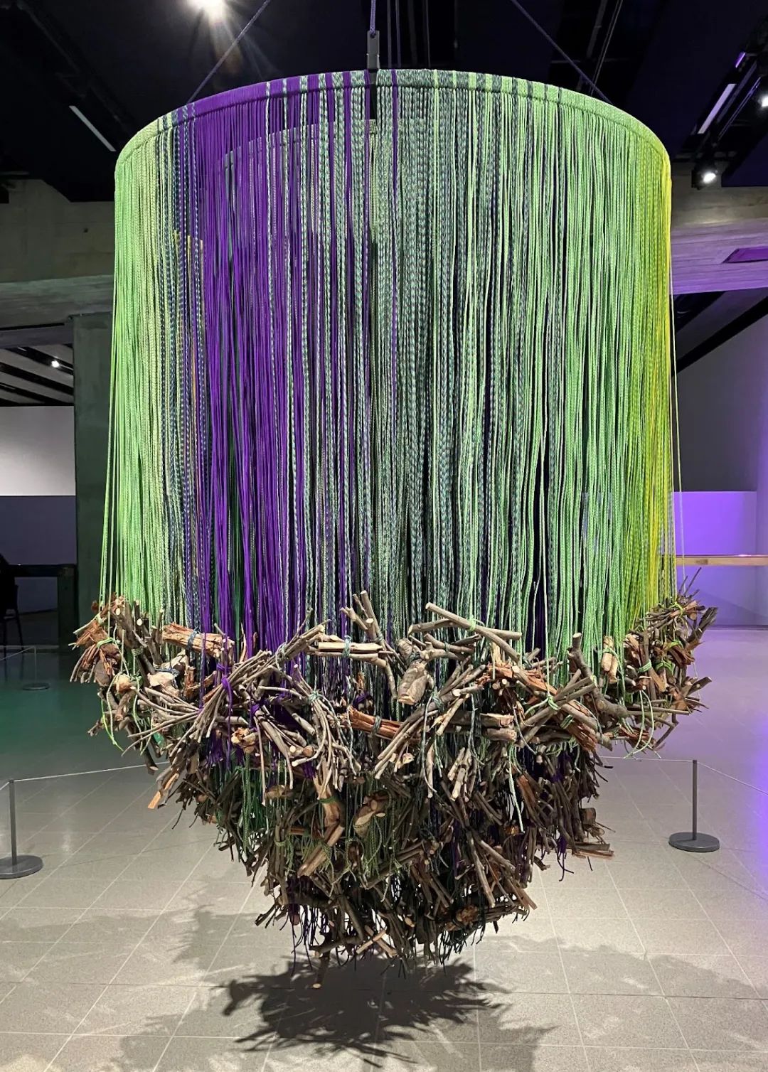 可持续发展：企业需要了解的消费趋势与未来前景