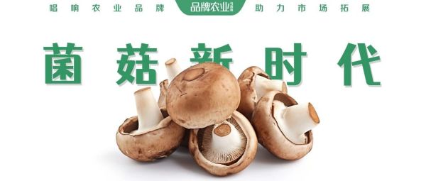 福建漳州蘑菇节：“2023食用菌菜品人气指数榜单”正式发布