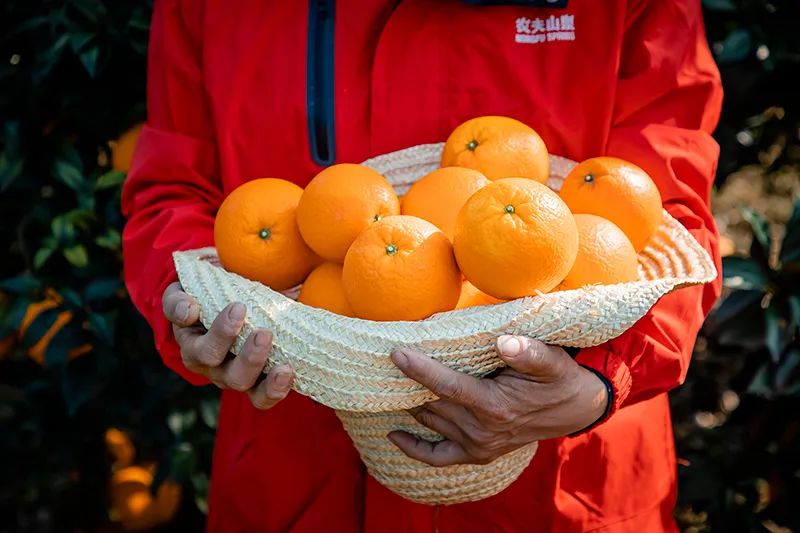 新鲜是人类和自然的距离,农夫山泉推出当季鲜榨橙汁17.5°,挑战味觉极限