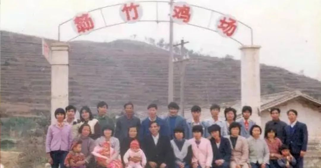 千亿俱乐部扩容！温氏股份预计2024年营收破千亿！