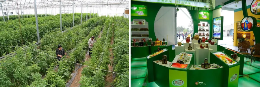 涪陵榨菜如何“榨”出新价值?