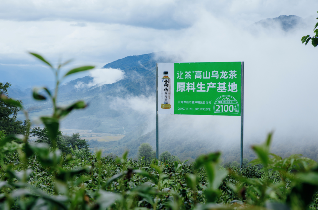 2024无糖茶确定性：差异化、新体验、新场景、品牌化