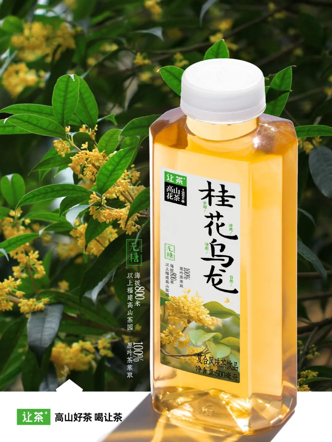 2024无糖茶确定性：差异化、新体验、新场景、品牌化