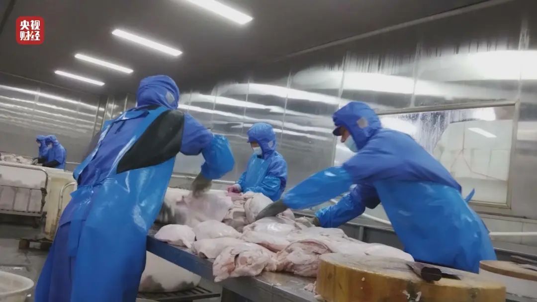 触目惊心!“顶流”预制菜,原料竟是淋巴肉!