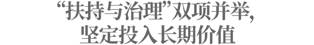 投入百亿扶持新质商家，拼多多发布Q2财报，坚定走高质量发展之路