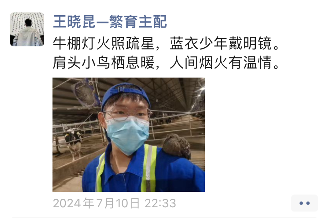从养牛“门外汉”到单产全国第二，认养一头牛死磕养牛的这10年！