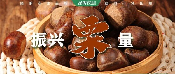 河北青龙：特色产业，振兴“栗”量