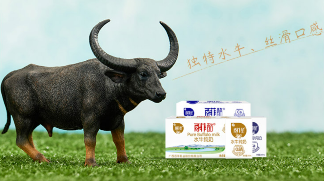 这家乳企将申请在北交所上市！