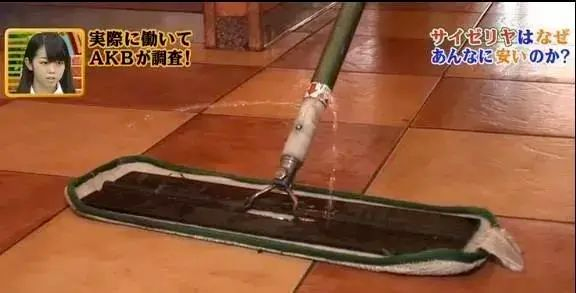 萨利亚有哪些值得我们学习?