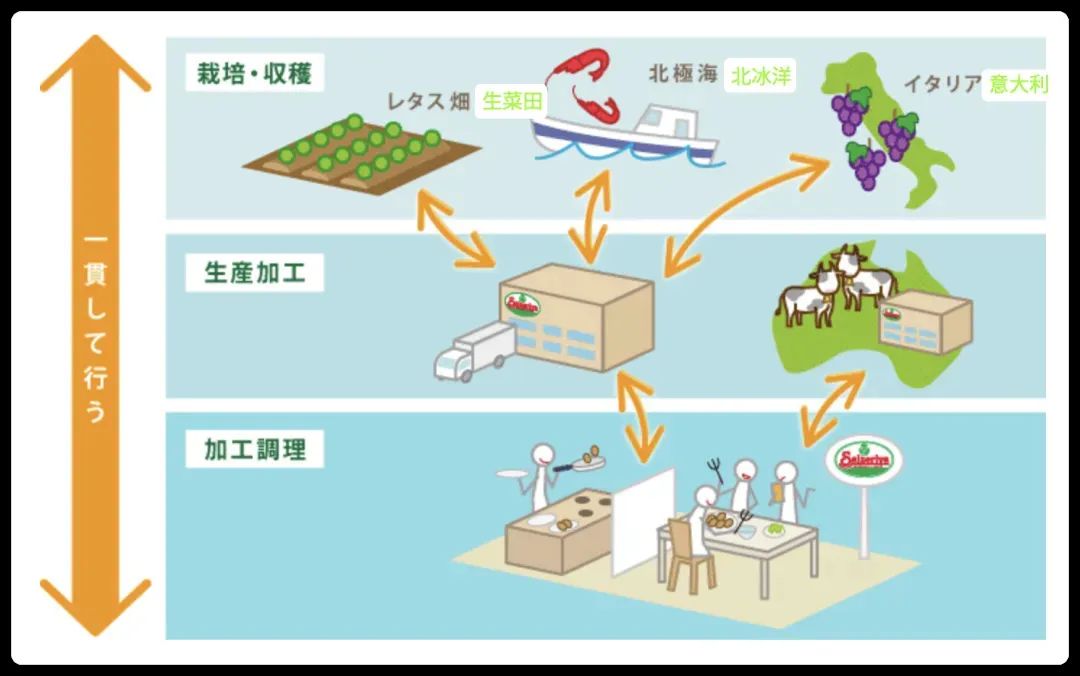 萨利亚有哪些值得我们学习?