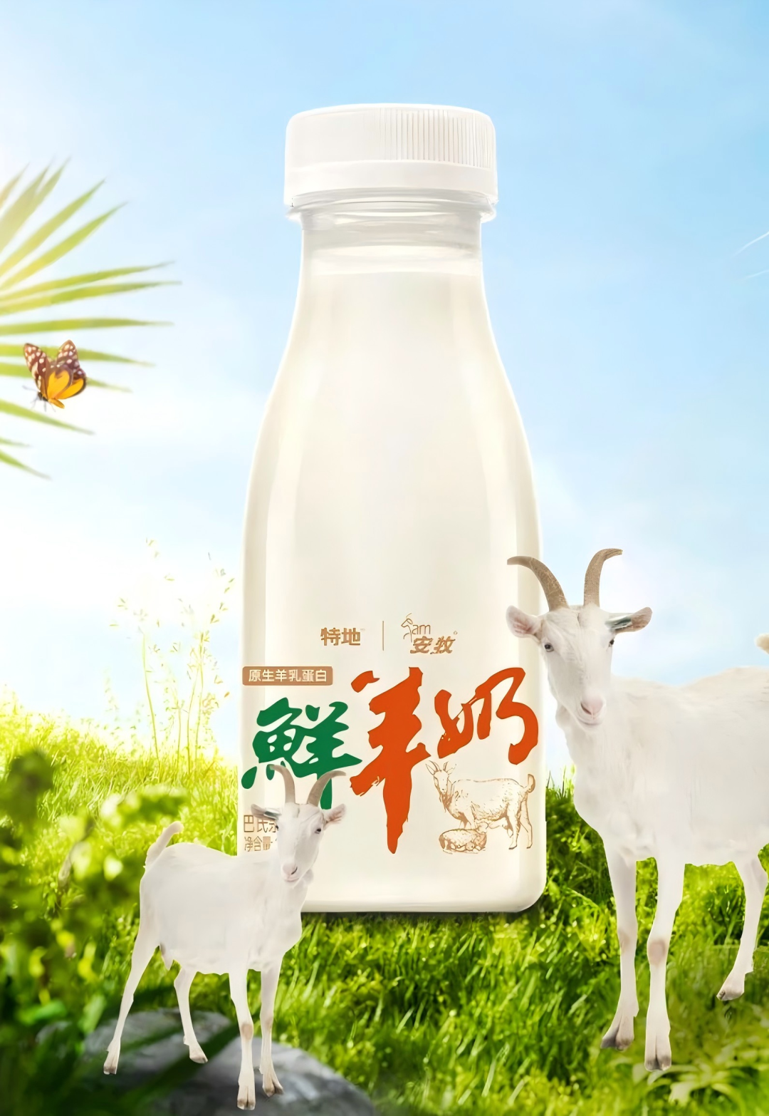 【新品速递】伊利、蒙牛、光明、君乐宝、新希望、庄园牧场、均瑶健康、宜品、长富、祁牧、迎春乐、传祁……(2024年12月第三期)