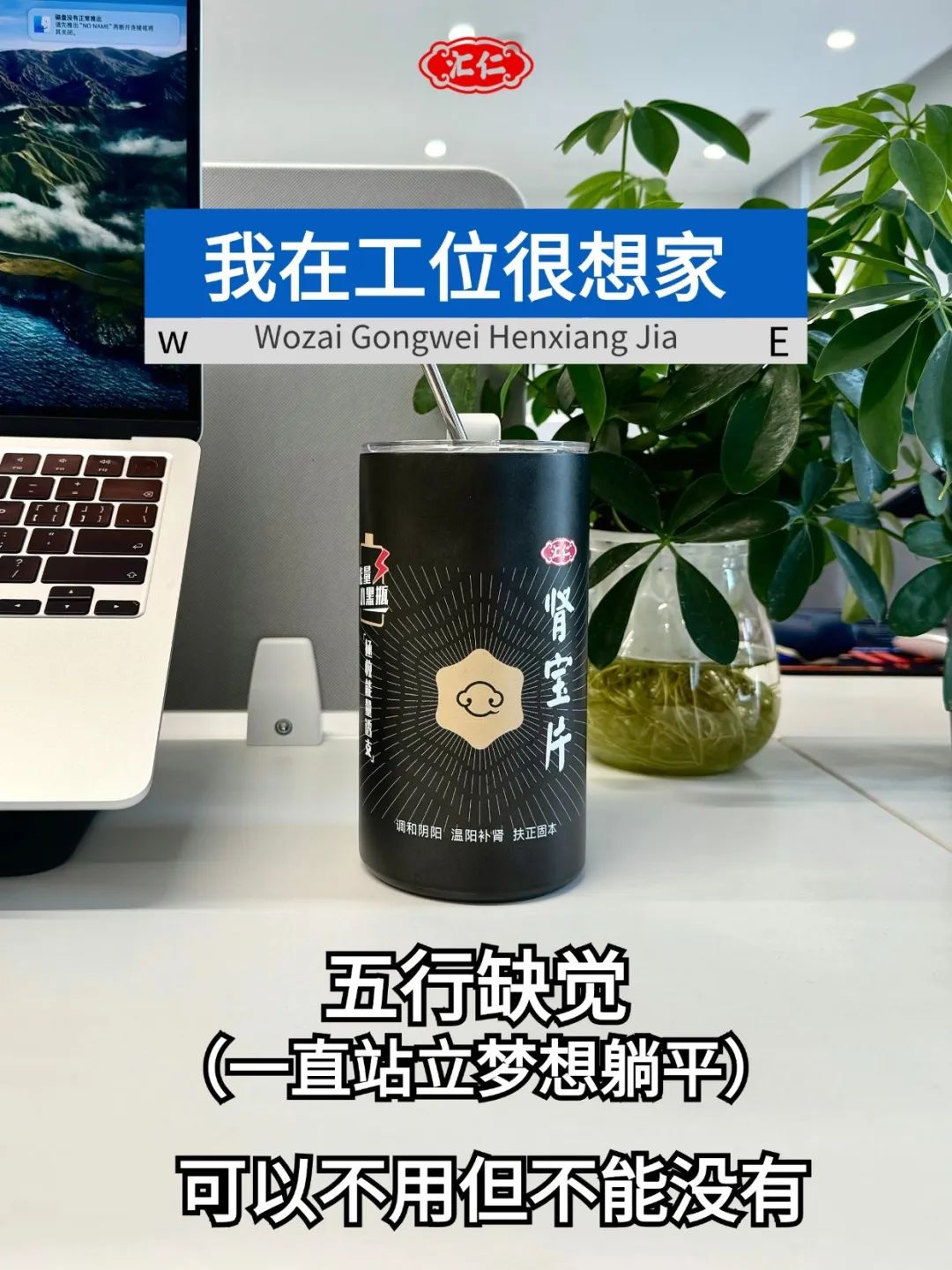 我把增量增长大模型迭代到2.0了!