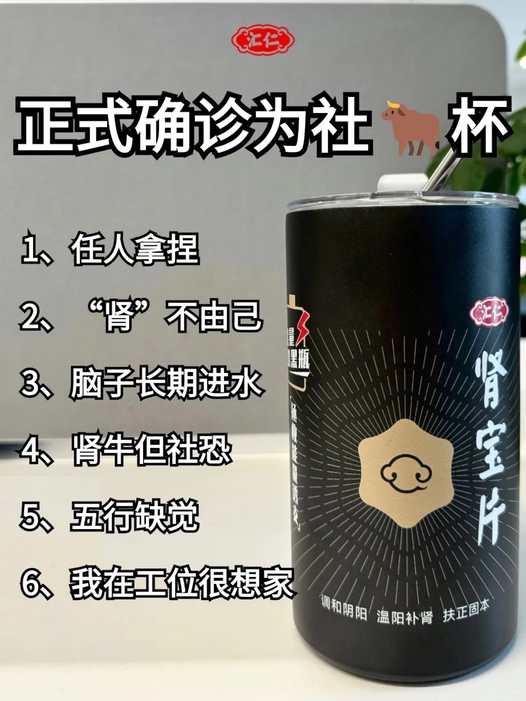 我把增量增长大模型迭代到2.0了!