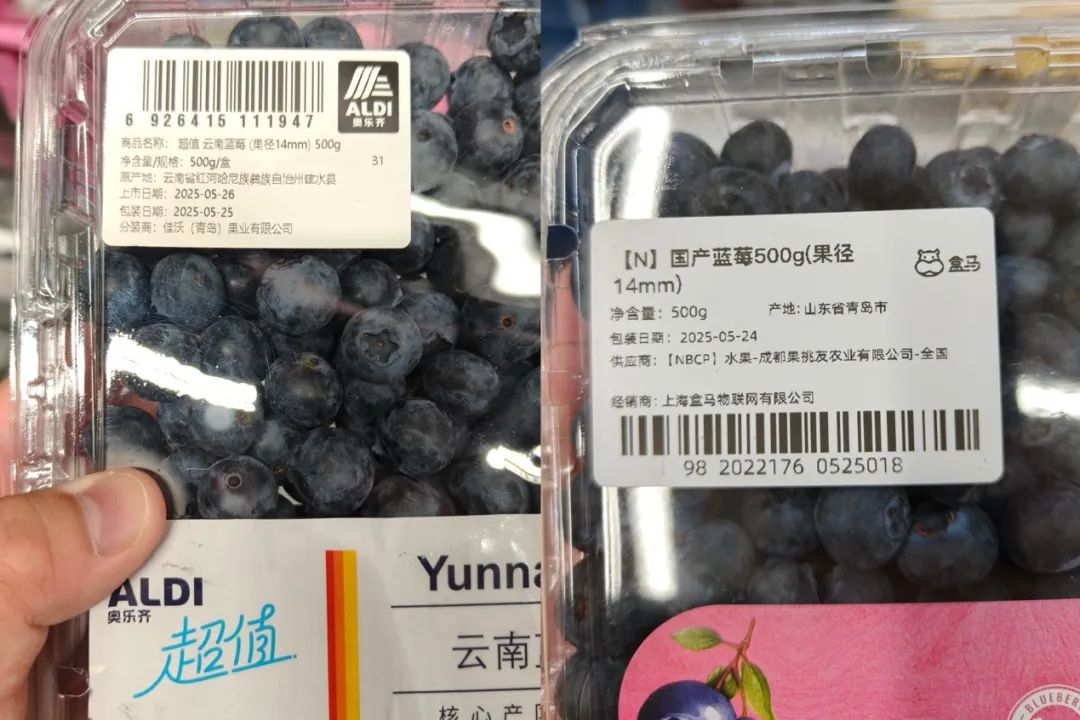 文本描述已自动生成