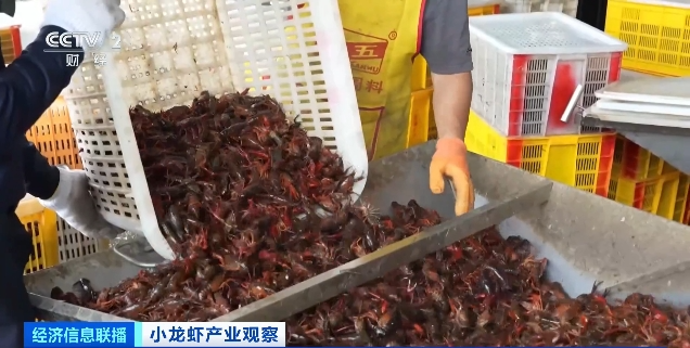 食业头条5月「红灰榜」| 拼多多、今麦郎、三只松鼠、周黑鸭、胖东来、果子熟了、人人乐、娃哈哈……上榜!