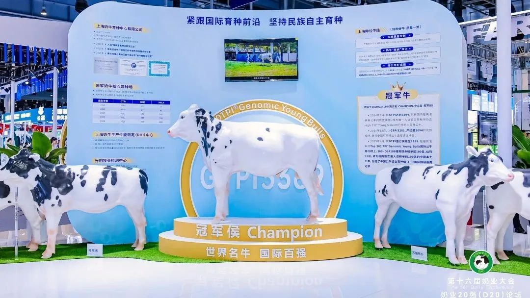 光明乳业品质领“鲜”第十六届中国奶业大会,创新驱动“鲜活”新高度与高质量发展引擎!