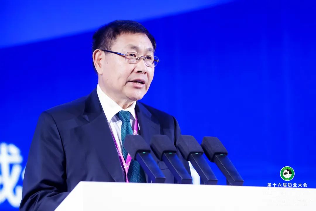 重磅报告、专业研讨、成果展示……第十六届奶业大会、奶业20强(D20)论坛暨2025中国奶业展览会隆重召开!