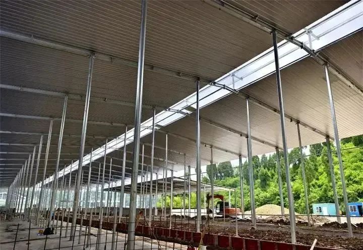 中国便利店五年畅销商品名单发布,哪些乳品上榜了?伊利、蒙牛都在发力哪个业务板块?这家乳企IPO审核有新进展……