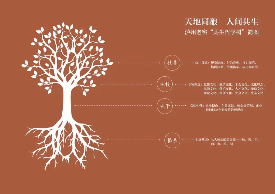发布22万字《文化纲领》,泸州老窖树行业文化标杆