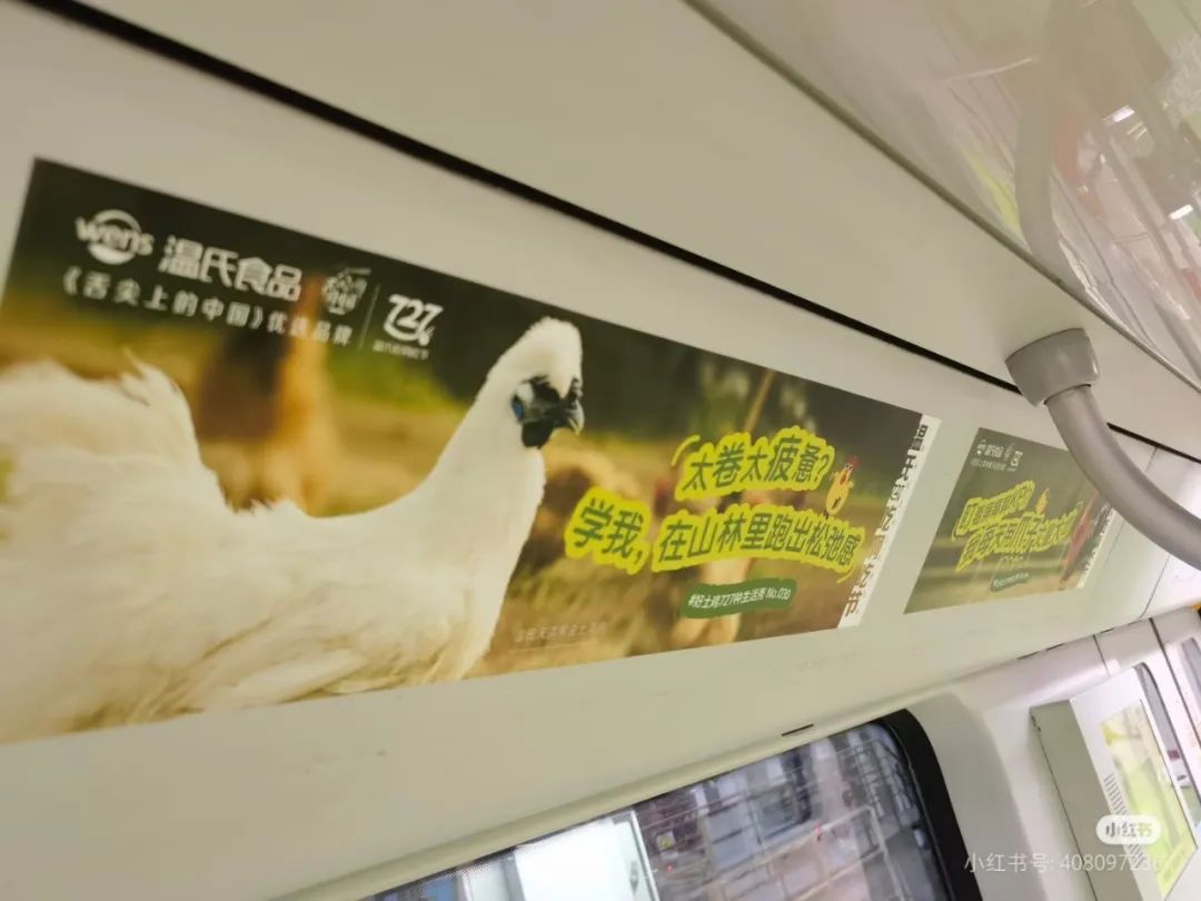 温氏“土鸡大秀”炸翻时尚圈!网友:这波KPI鸡赢了
