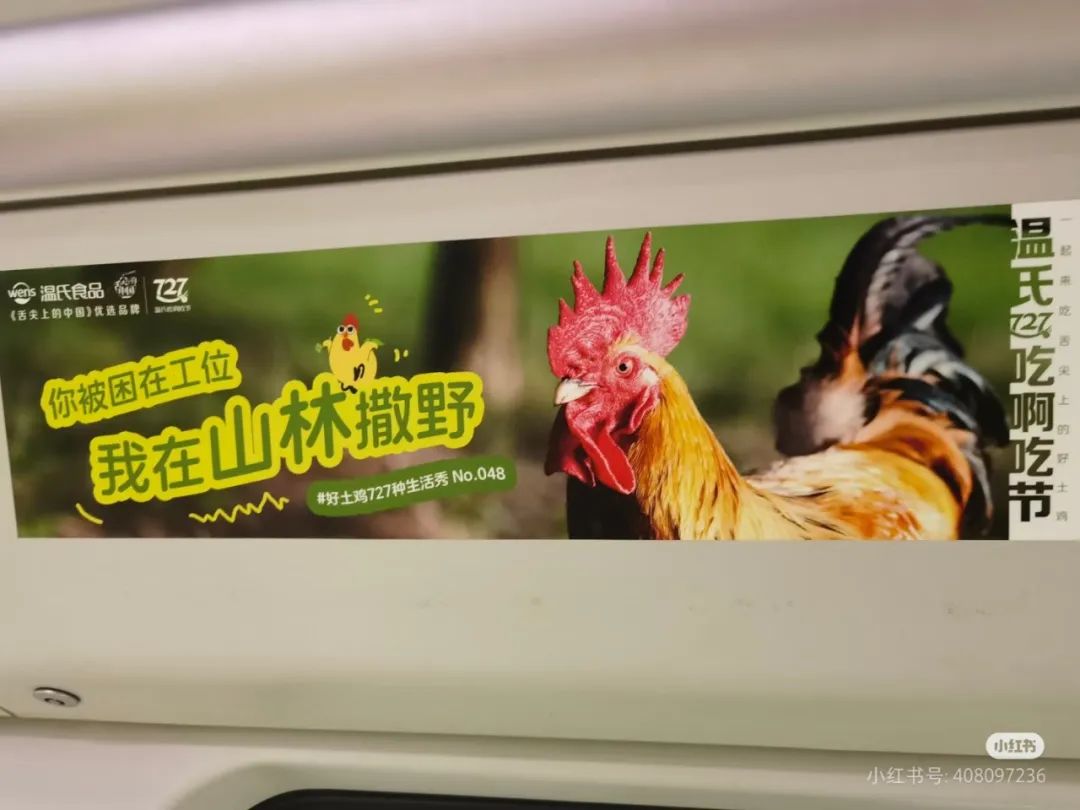 温氏“土鸡大秀”炸翻时尚圈!网友:这波KPI鸡赢了