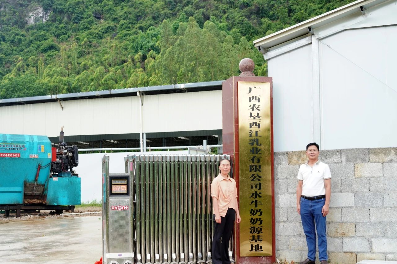 025年《财富》中国500强排行榜,伊利、蒙牛排第几?哪家乳企控股股东预重整,公司控制权或生变?这家企业被行政处罚……"