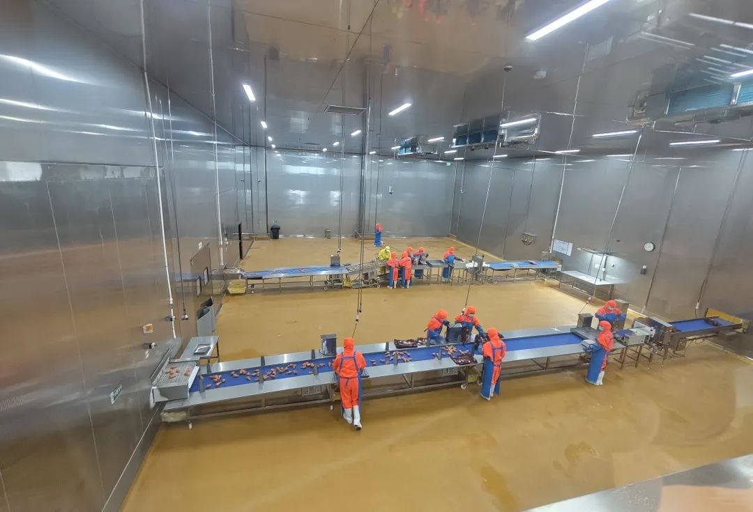 年产6万吨、投资5.25亿……“2025瑞发德智慧工厂亮灯盛典”重磅启帷！