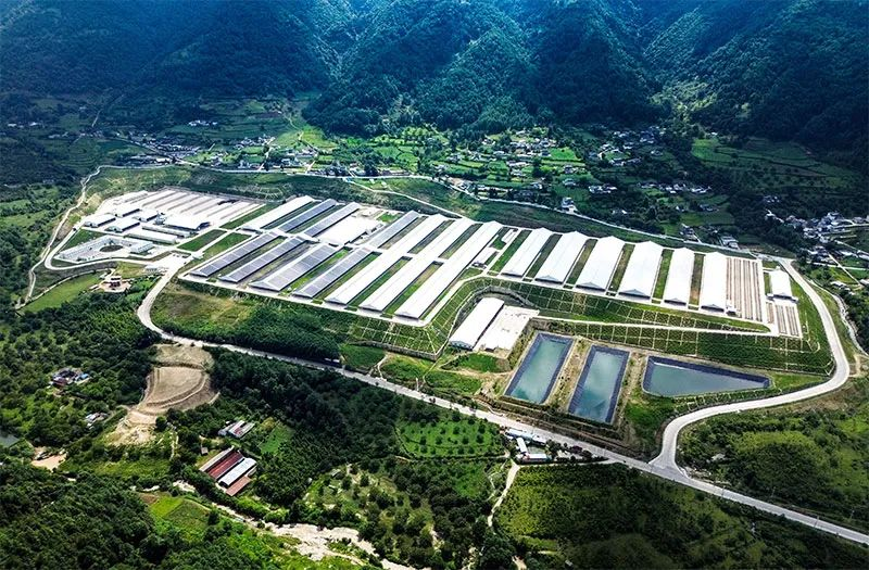 哪家乳企计划投资6亿元建加工基地?天润乳业与良品铺子合作推出了什么新产品?这家乳企的重要股东拟减持35万股……