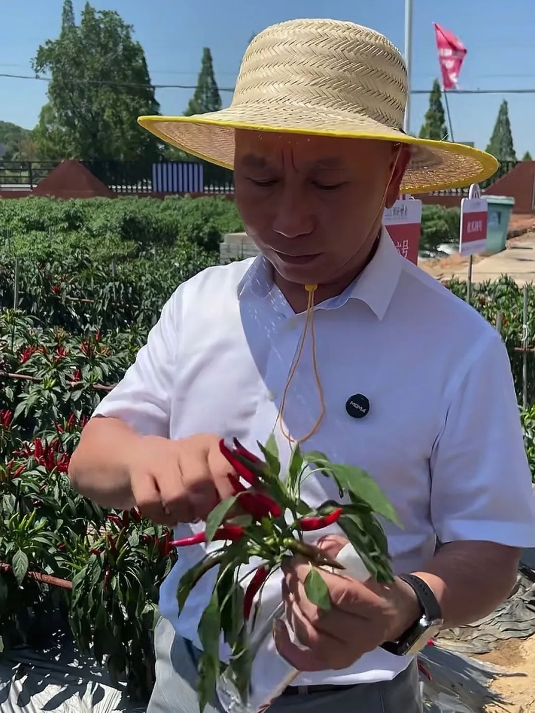 深度践行“心”质生产力,周黑鸭重塑卤味行业新生态