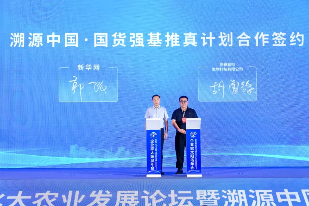 从“狂飙式增长”到“真价值破局”,白桦树汁产业驶入品质化新航道