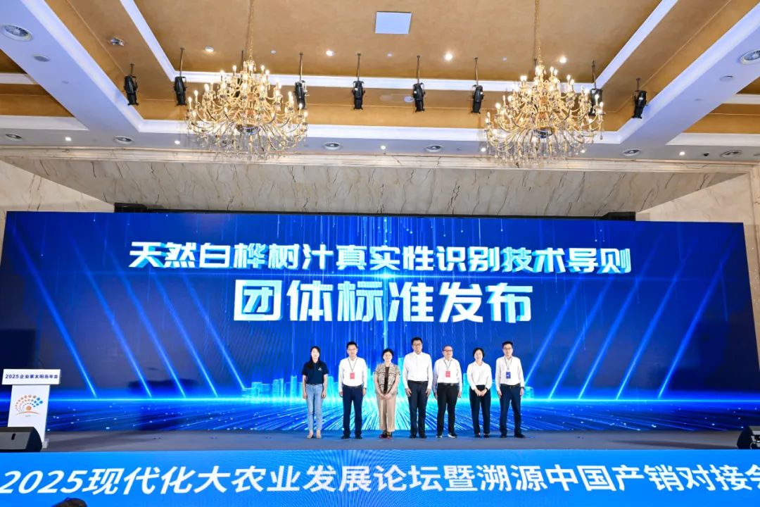从“狂飙式增长”到“真价值破局”,白桦树汁产业驶入品质化新航道