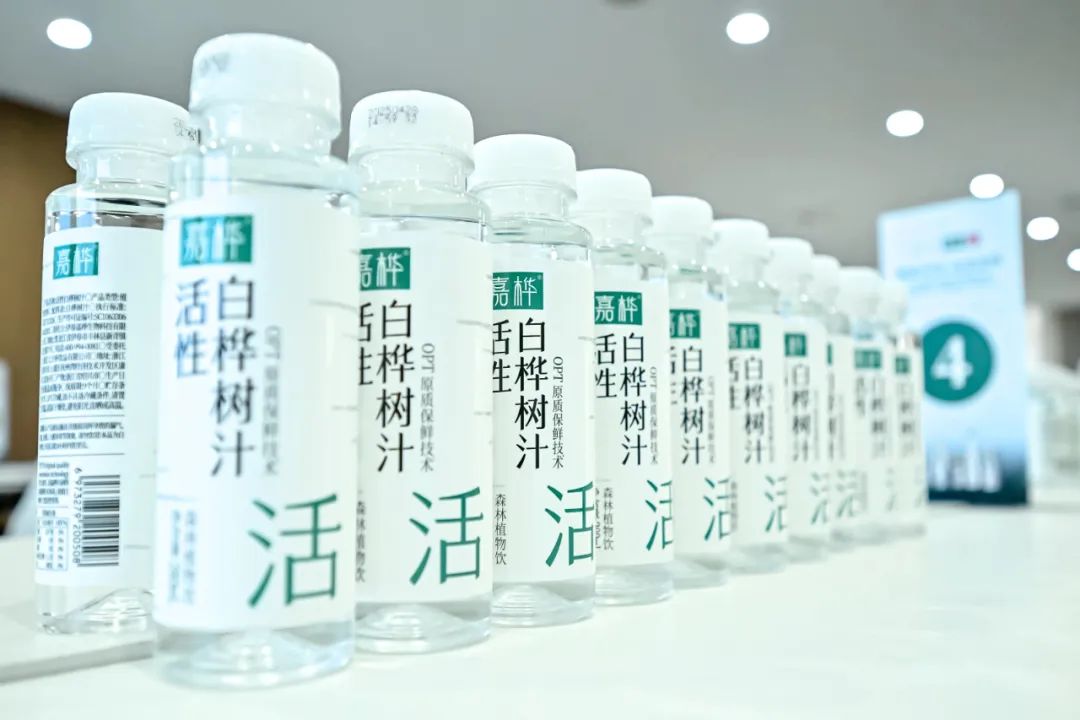 从“狂飙式增长”到“真价值破局”,白桦树汁产业驶入品质化新航道