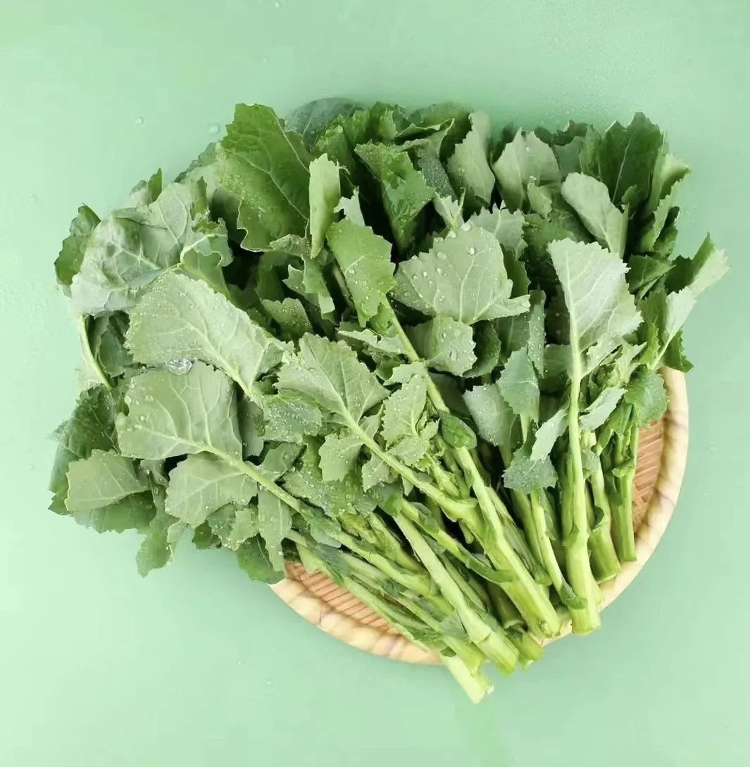 养生热潮下，年轻人为何爱上板蓝根青菜水饺？