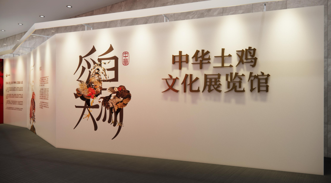 倒计时5天!五大亮点掀起“中华土鸡”产业发展浪潮……