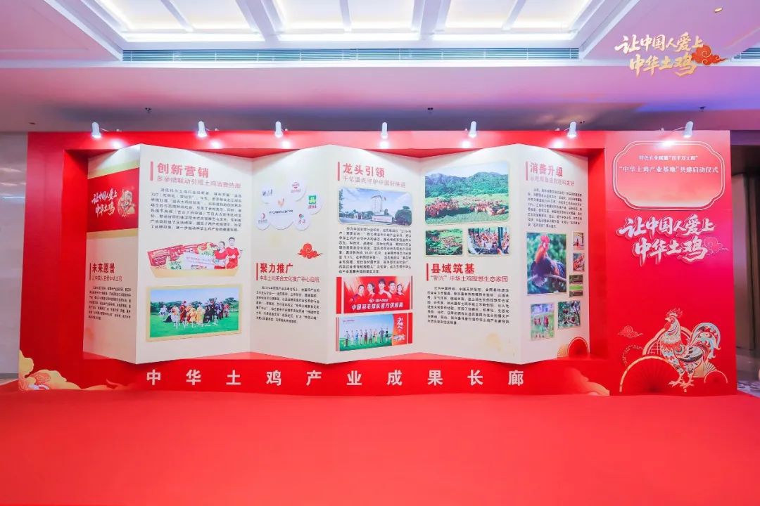 特色农业赋能“百千万工程”，“中华土鸡产业基地”共建启动仪式成功举办！