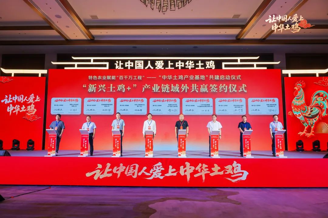 特色农业赋能“百千万工程”，“中华土鸡产业基地”共建启动仪式成功举办！