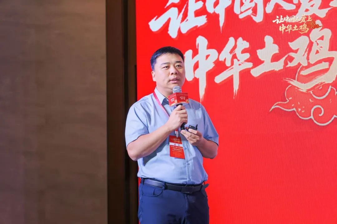 特色农业赋能“百千万工程”，“中华土鸡产业基地”共建启动仪式成功举办！