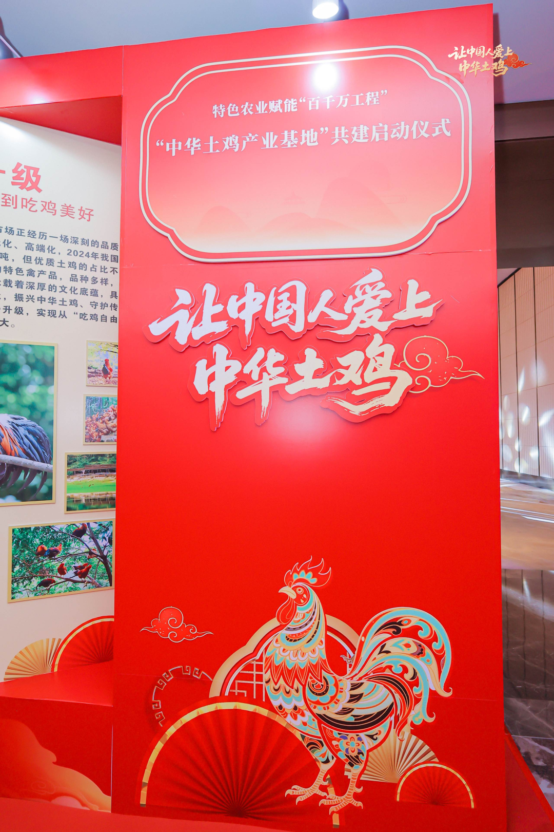 从“洋白鸡”手中抢回消费市场,中华土鸡的时代来了!