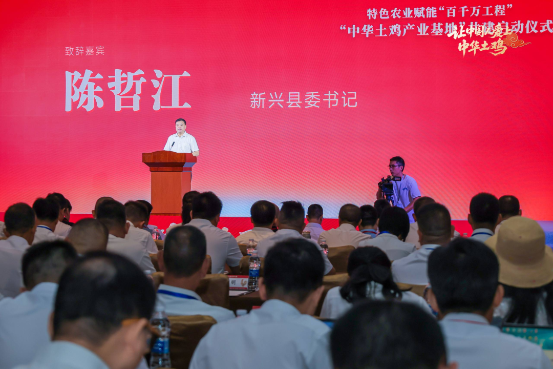 从“洋白鸡”手中抢回消费市场,中华土鸡的时代来了!