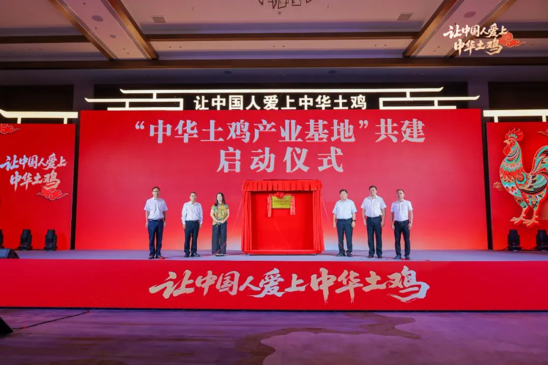 从“洋白鸡”手中抢回消费市场,中华土鸡的时代来了!