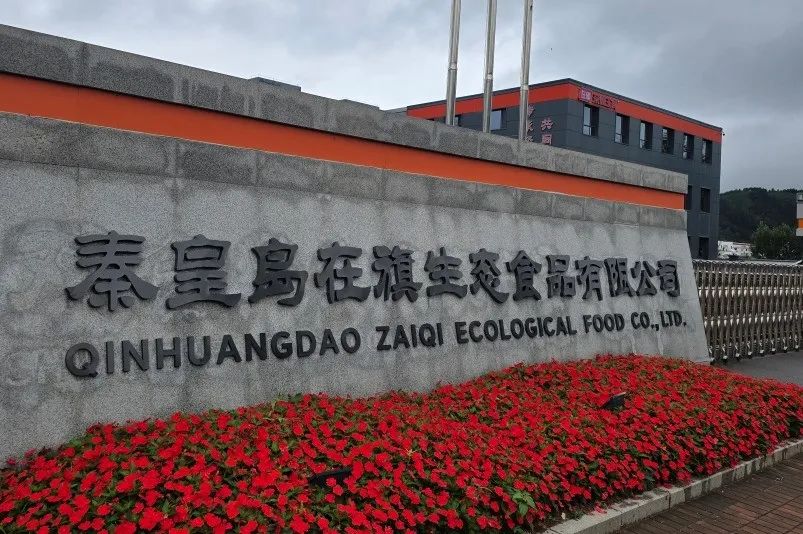 专访在旗董事长张胜利：破局杂粮主食，引领健康升级丨千企千商⑥