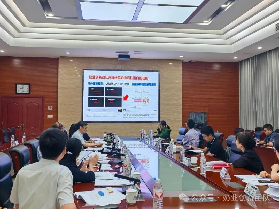 商务部延长对哪些乳制品的反补贴调查期限？伊利正在拓展哪个市场？海河乳品旗下这一新公司投产……