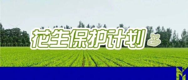 玛氏启动“花生保护计划”，推动更具韧性的花生产业发展