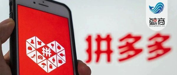 拼多多科技竞赛如何为农业人才“搭台”，为农产品上行“铺路”？