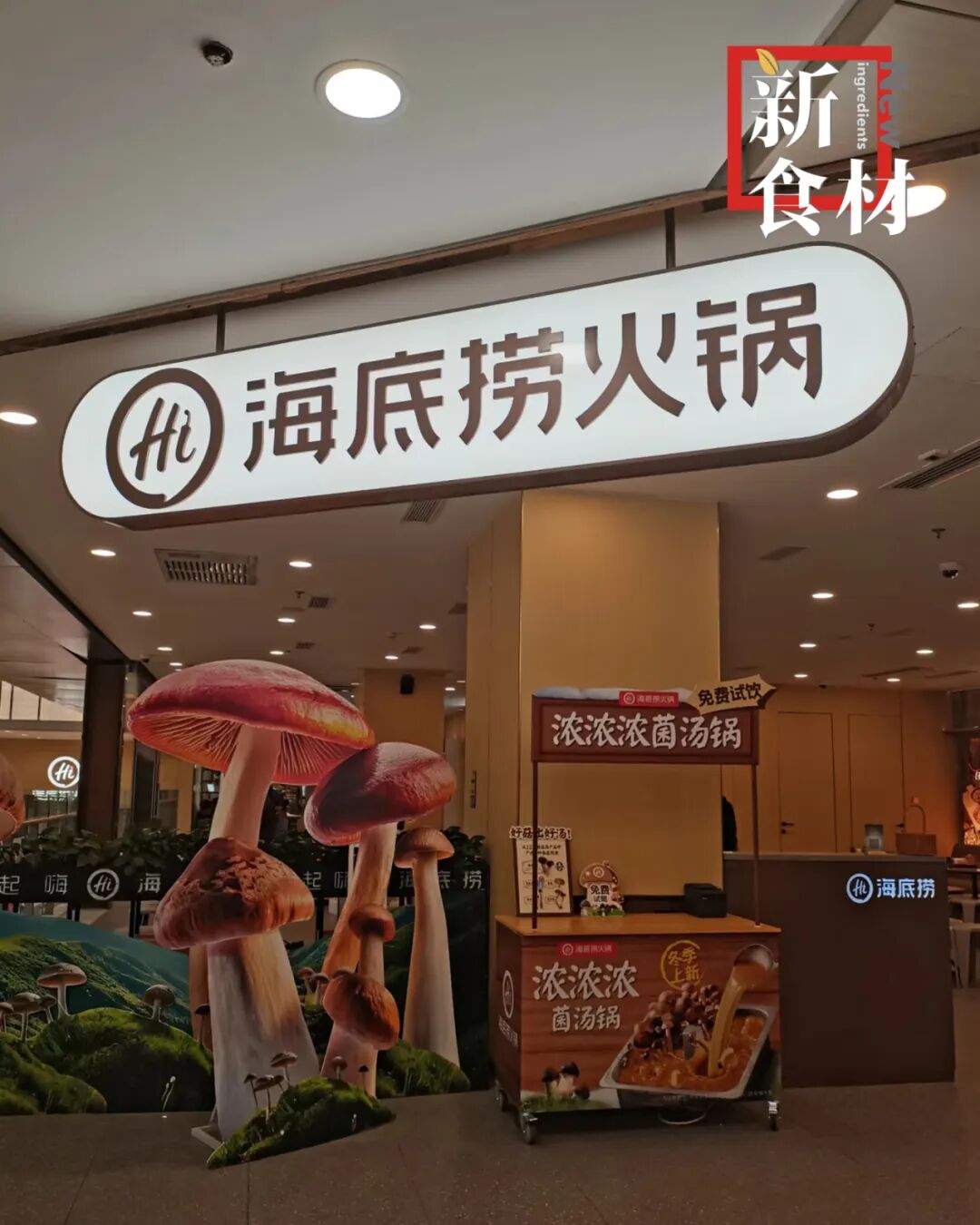 大赚6个亿,海底捞副牌狂奔