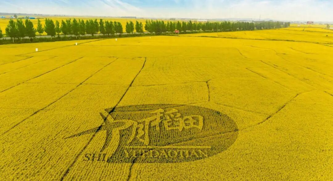 食业周报丨鸣鸣很忙全国门店破2万家、宗馥莉又有大动作、开市客公布2025财年业绩……