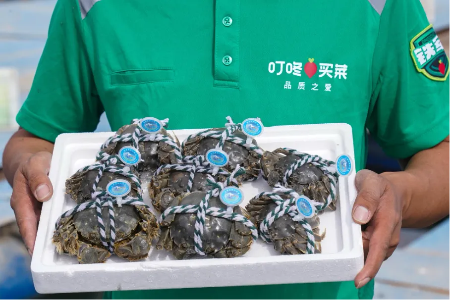 盒马超盒算NB筹备加盟,奥乐齐常州首店将开业,味全、光明、可可满分上新……