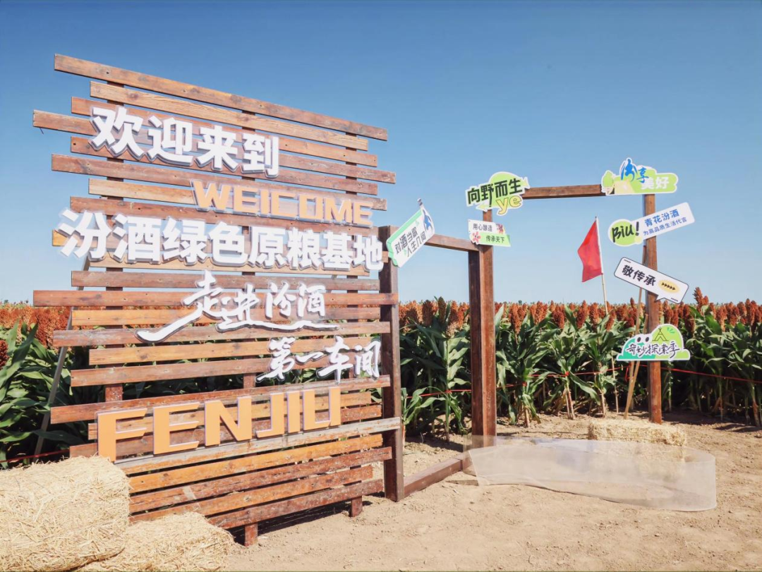 耗时五年,汾酒开凿了一条“护城河”